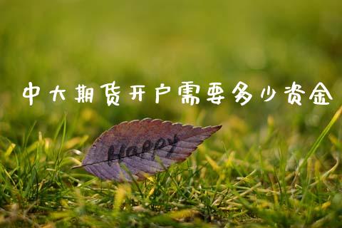 中大期货开户需要多少资金_https://wap.ycdhulan.com_货币市场_第1张