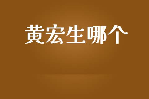 黄宏生哪个_https://wap.ycdhulan.com_国际财经_第1张