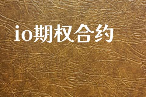 io期权合约_https://wap.ycdhulan.com_财经新闻_第1张