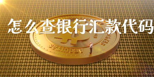 怎么查银行汇款代码_https://wap.ycdhulan.com_投资基金_第1张