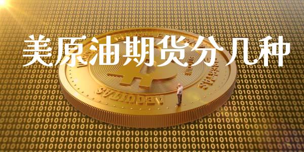 美原油期货分几种_https://wap.ycdhulan.com_投资基金_第1张