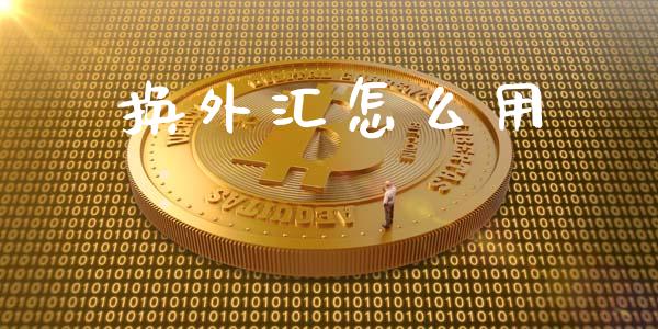 换外汇怎么用_https://wap.ycdhulan.com_国际财经_第1张