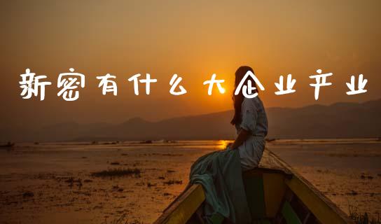 新密有什么大企业产业_https://wap.ycdhulan.com_财务投资_第1张