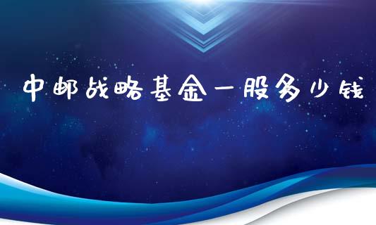 中邮战略基金一股多少钱_https://wap.ycdhulan.com_财经新闻_第1张