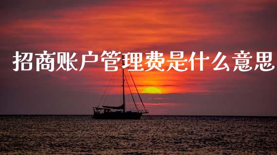 招商账户管理费是什么意思_https://wap.ycdhulan.com_财务投资_第1张