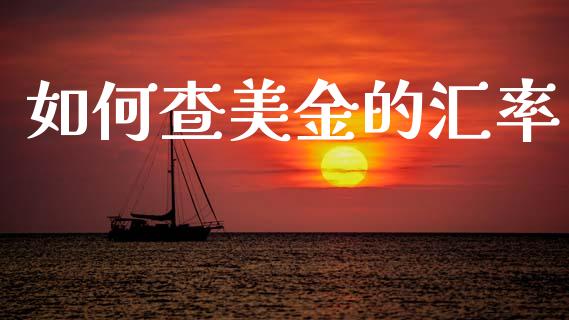 如何查美金的汇率_https://wap.ycdhulan.com_金融咨询_第1张