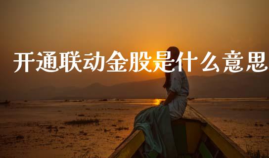 开通联动金股是什么意思_https://wap.ycdhulan.com_金融咨询_第1张
