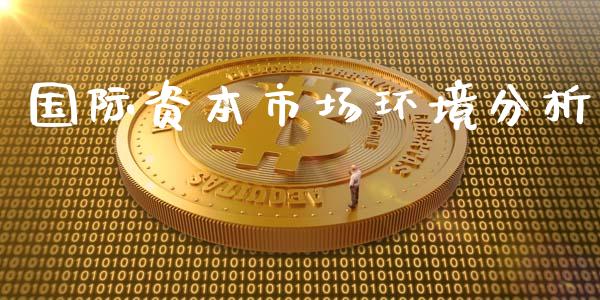 国际资本市场环境分析_https://wap.ycdhulan.com_财经新闻_第1张