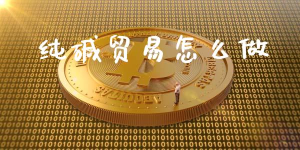 纯碱贸易怎么做_https://wap.ycdhulan.com_投资基金_第1张