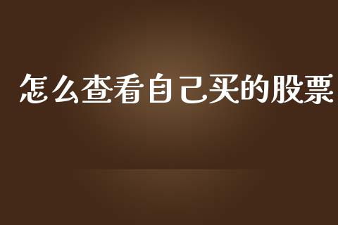 怎么查看自己买的股票_https://wap.ycdhulan.com_财务投资_第1张