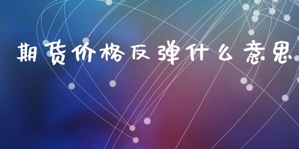 期货价格反弹什么意思_https://wap.ycdhulan.com_货币市场_第1张