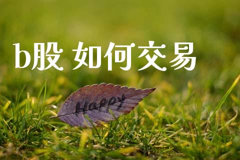 b股 如何交易_https://wap.ycdhulan.com_国际财经_第1张