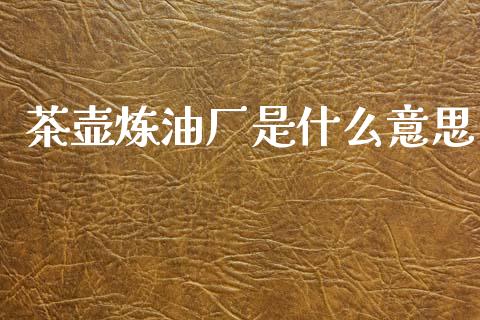 茶壶炼油厂是什么意思_https://wap.ycdhulan.com_投资基金_第1张