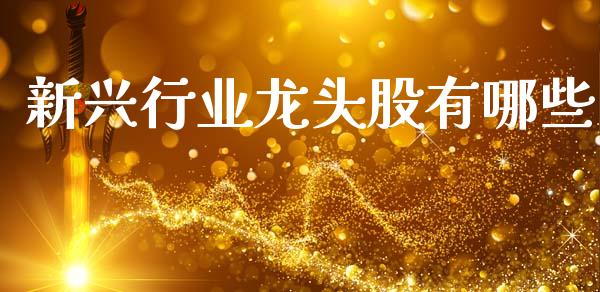 新兴行业龙头股有哪些_https://wap.ycdhulan.com_投资基金_第1张