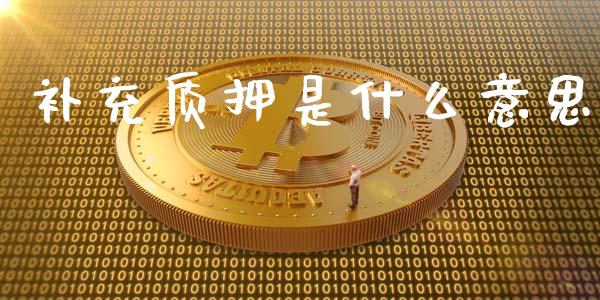 补充质押是什么意思_https://wap.ycdhulan.com_货币市场_第1张