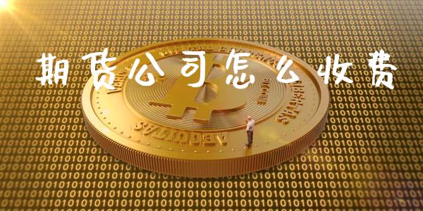 期货公司怎么收费_https://wap.ycdhulan.com_国际财经_第1张