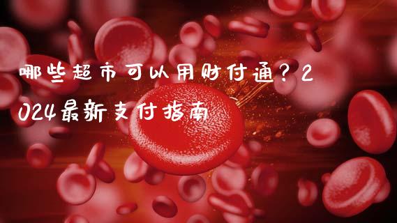 哪些超市可以用财付通？2024最新支付指南_https://wap.ycdhulan.com_货币市场_第1张