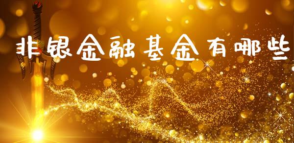 非银金融基金有哪些_https://wap.ycdhulan.com_财经新闻_第1张