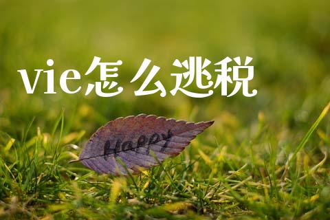 vie怎么逃税_https://wap.ycdhulan.com_财务投资_第1张