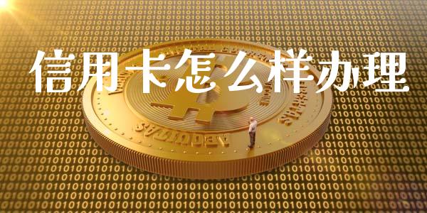 信用卡怎么样办理_https://wap.ycdhulan.com_财经新闻_第1张