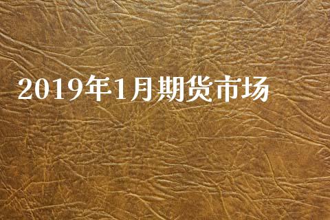 2019年1月期货市场_https://wap.ycdhulan.com_货币市场_第1张