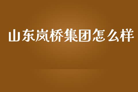 山东岚桥集团怎么样_https://wap.ycdhulan.com_财务投资_第1张