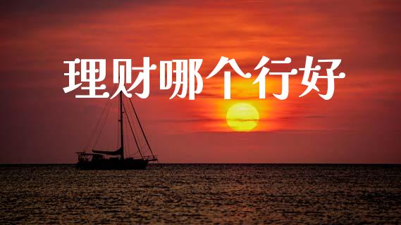 理财哪个行好_https://wap.ycdhulan.com_国际财经_第1张