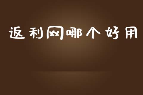 返利网哪个好用_https://wap.ycdhulan.com_金融咨询_第1张