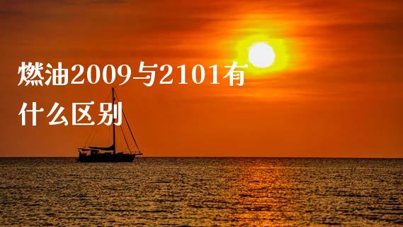 燃油2009与2101有什么区别_https://wap.ycdhulan.com_财经新闻_第1张