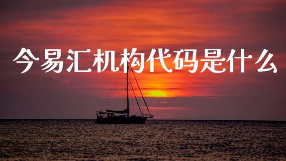 今易汇机构代码是什么_https://wap.ycdhulan.com_投资基金_第1张