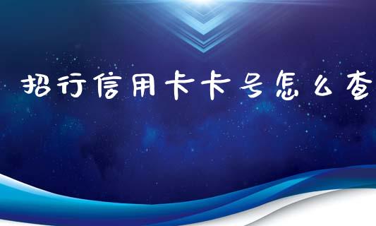 招行信用卡卡号怎么查_https://wap.ycdhulan.com_金融咨询_第1张