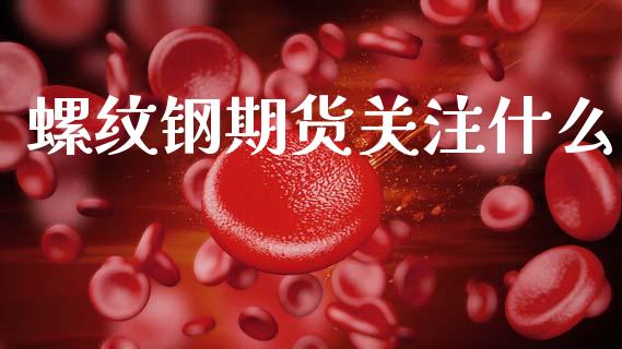 螺纹钢期货关注什么_https://wap.ycdhulan.com_国际财经_第1张
