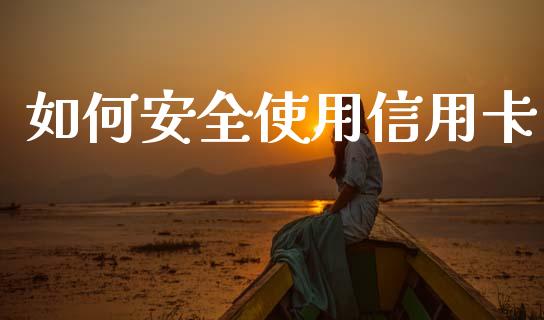 如何安全使用信用卡_https://wap.ycdhulan.com_国际财经_第1张