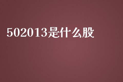 502013是什么股_https://wap.ycdhulan.com_金融咨询_第1张
