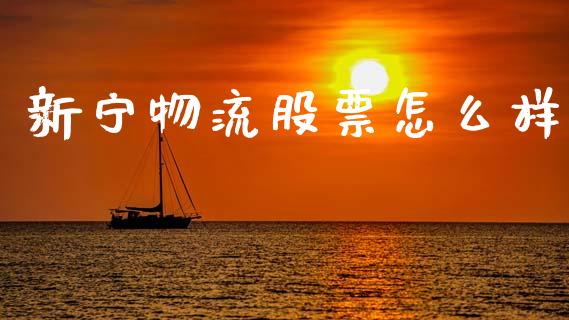 新宁物流股票怎么样_https://wap.ycdhulan.com_投资基金_第1张