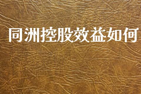同洲控股效益如何_https://wap.ycdhulan.com_国际财经_第1张