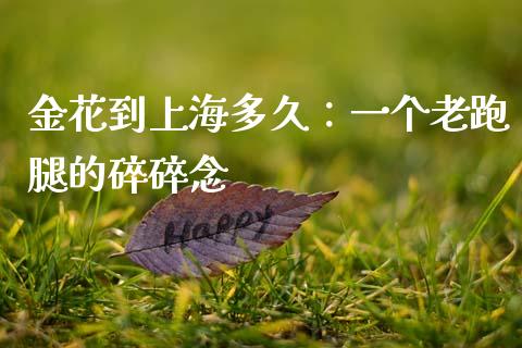 金花到上海多久：一个老跑腿的碎碎念_https://wap.ycdhulan.com_投资基金_第1张