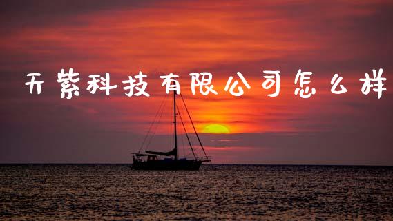 天紫科技有限公司怎么样_https://wap.ycdhulan.com_金融咨询_第1张