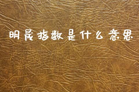 明晟指数是什么意思_https://wap.ycdhulan.com_国际财经_第1张