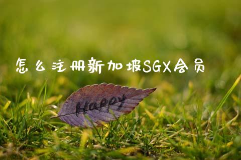 怎么注册新加坡SGX会员_https://wap.ycdhulan.com_货币市场_第1张