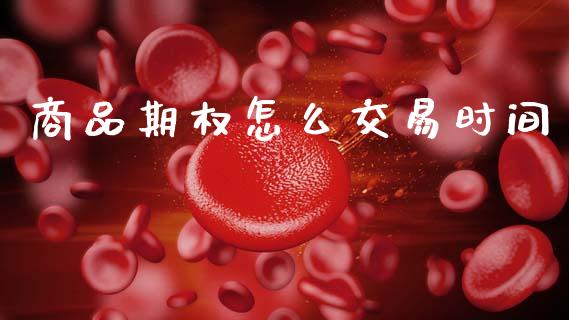 商品期权怎么交易时间_https://wap.ycdhulan.com_货币市场_第1张