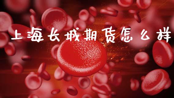上海长城期货怎么样_https://wap.ycdhulan.com_金融咨询_第1张