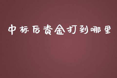 中标后资金打到哪里_https://wap.ycdhulan.com_金融咨询_第1张