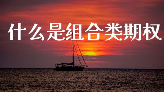 什么是组合类期权_https://wap.ycdhulan.com_国际财经_第1张