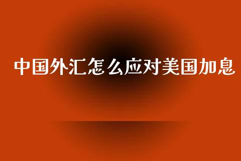 中国外汇怎么应对美国加息_https://wap.ycdhulan.com_国际财经_第1张