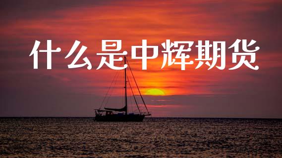 什么是中辉期货_https://wap.ycdhulan.com_财务投资_第1张