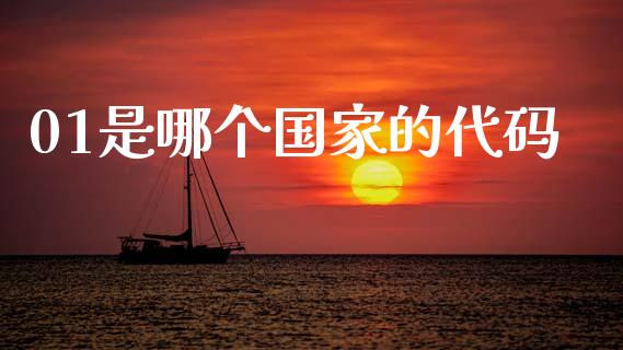 01是哪个国家的代码_https://wap.ycdhulan.com_投资基金_第1张
