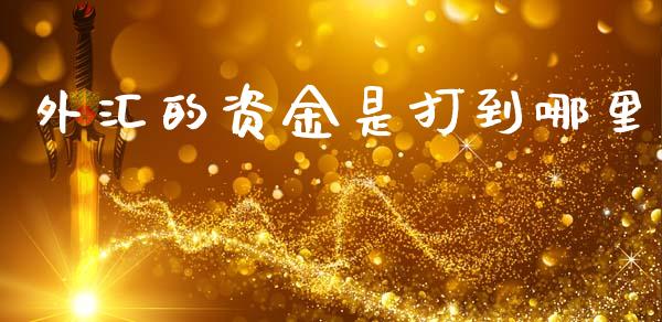 外汇的资金是打到哪里_https://wap.ycdhulan.com_财务投资_第1张