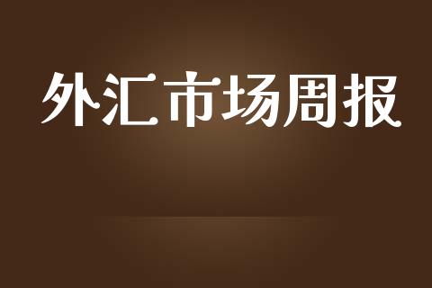 外汇市场周报_https://wap.ycdhulan.com_金融咨询_第1张