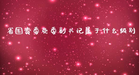 省国资委党委副书记属于什么级别_投资基金_第1张_国际财经_财经新闻_财务投资_金融咨询_货币市场_投资基金 省国资委党委副书记属于什么级别_https://wap.ycdhulan.com_投资基金_第1张